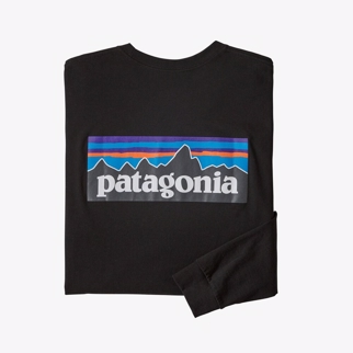 Patagonia Men's Long-Sleeved P-6 Logo